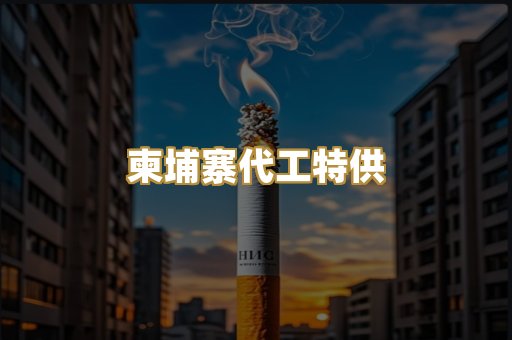 柬埔寨代工特供